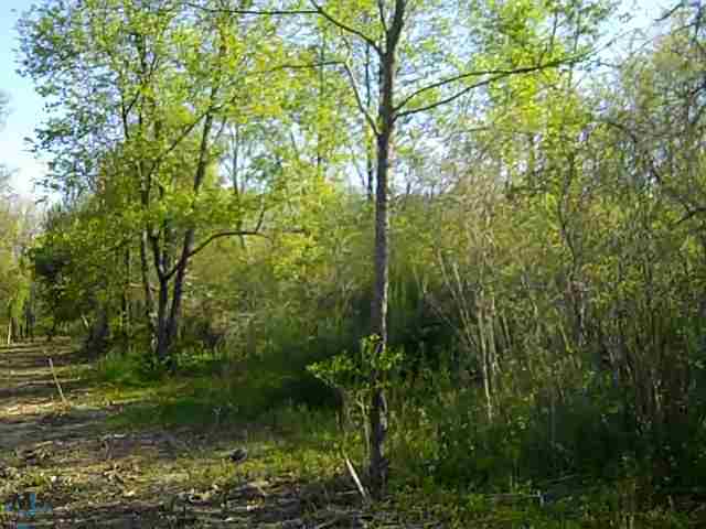 Lot 42 Pippen Romeo, MI 48065 - Photo 2 of 4 31113594-1.JPG