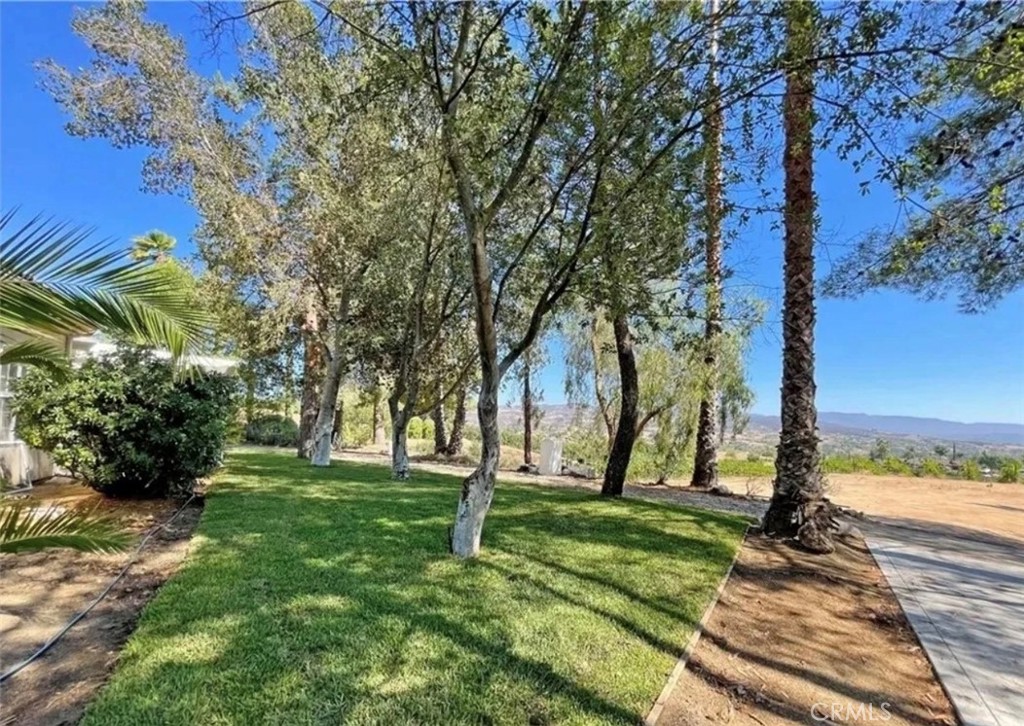 39850 Kapalua Way Temecula, CA 92592 - Photo 31 of 35 a view of a park with tree s