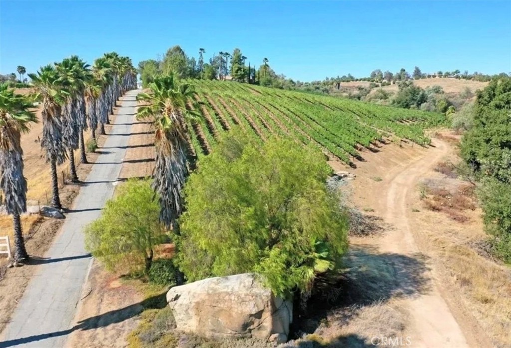 39850 Kapalua Way Temecula, CA 92592 - Photo 32 of 35 a view of a back yard of the house
