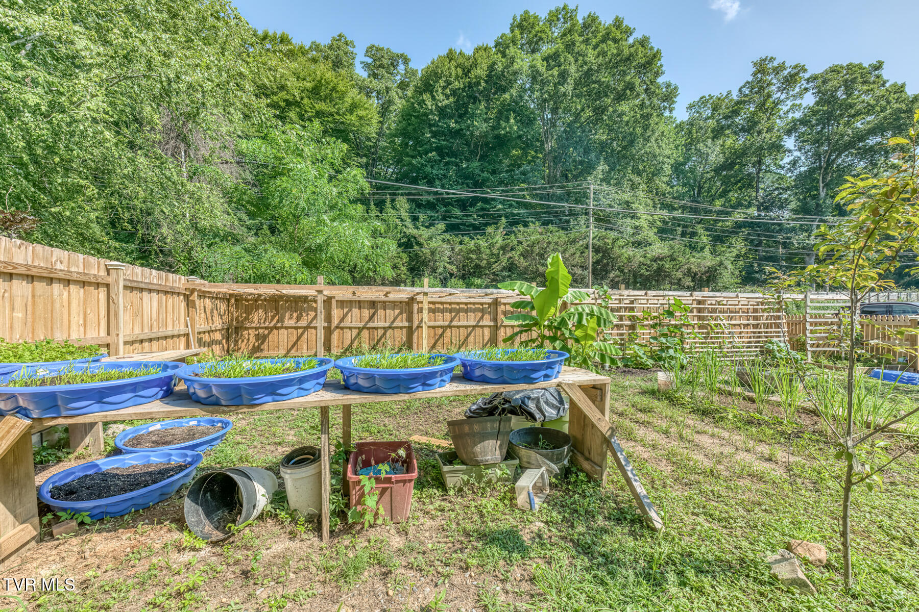 901 Cherokee Road Johnson City, TN 37604 - Photo 48 of 54 Garden