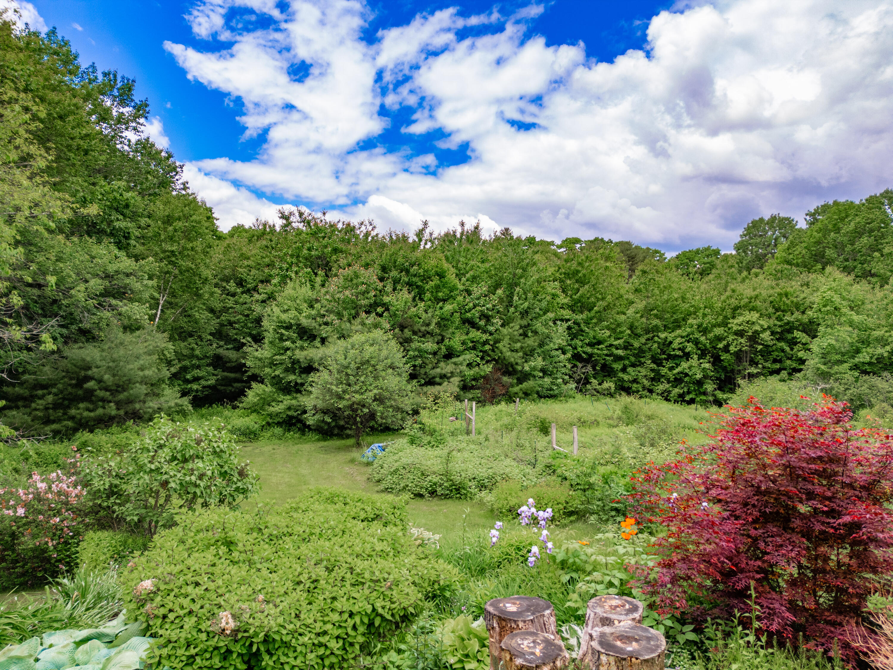 701 Old Augusta Road Waldoboro, ME 04572 - Photo 81 of 82 Berry Patch