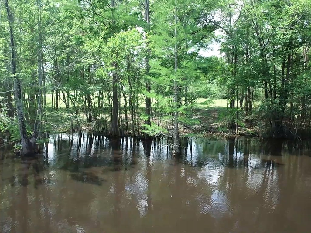 4.04 Cty Road Slocomb, AL 36375 - Photo 33 of 36