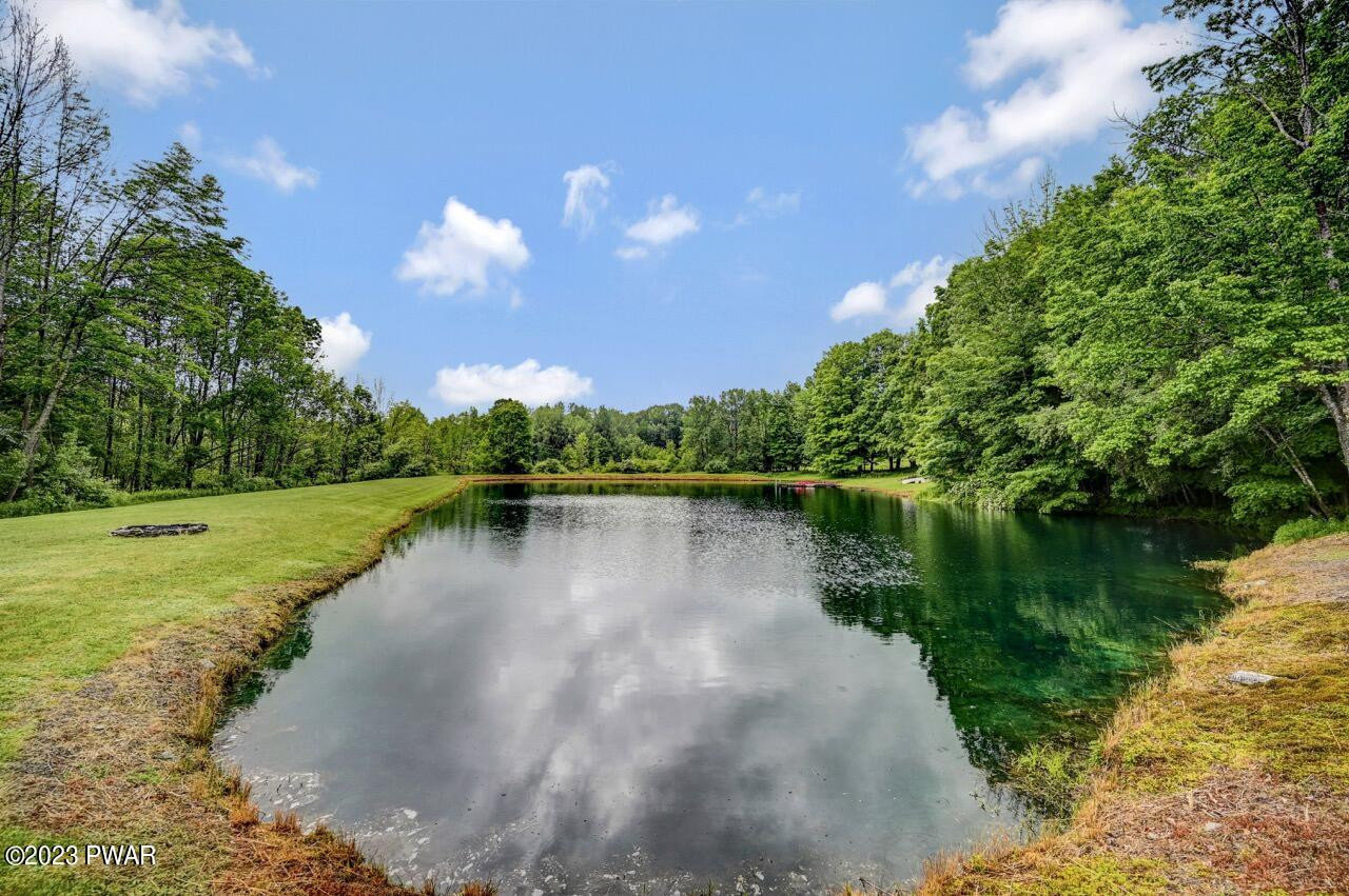 194 North Smith Road Waymart, PA 18472 - Photo 76 of 88 Private Pond