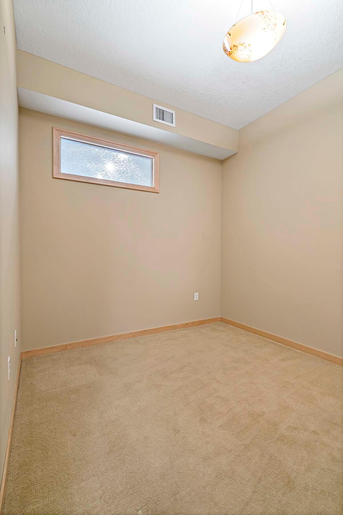 240 Spring Street, Unit 413 St. Paul, MN 55102 - Photo 16 of 33 Gallery Image 16
