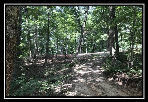 2895 Spencer Road Ray, OH 45672 - Photo 11 of 79