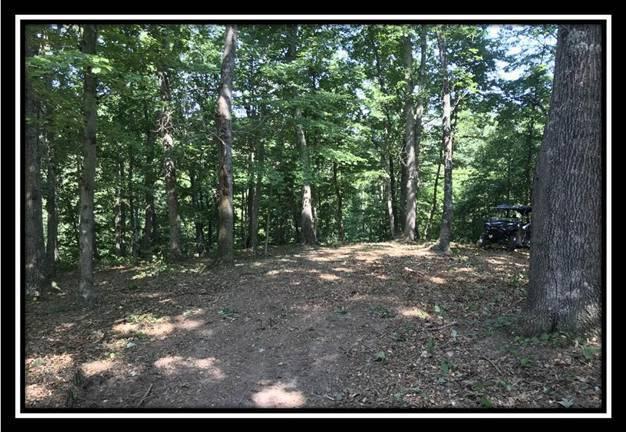 2895 Spencer Road Ray, OH 45672 - Photo 12 of 79
