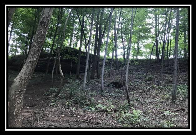 2895 Spencer Road Ray, OH 45672 - Photo 18 of 79