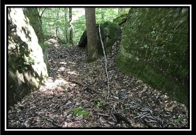 2895 Spencer Road Ray, OH 45672 - Photo 2 of 79