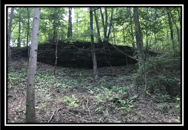 2895 Spencer Road Ray, OH 45672 - Photo 21 of 79