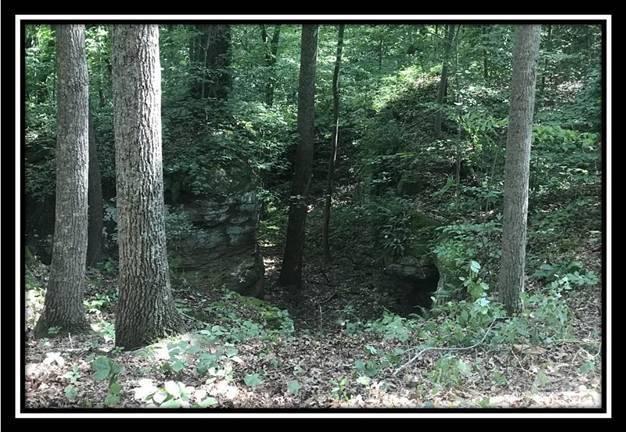 2895 Spencer Road Ray, OH 45672 - Photo 23 of 79