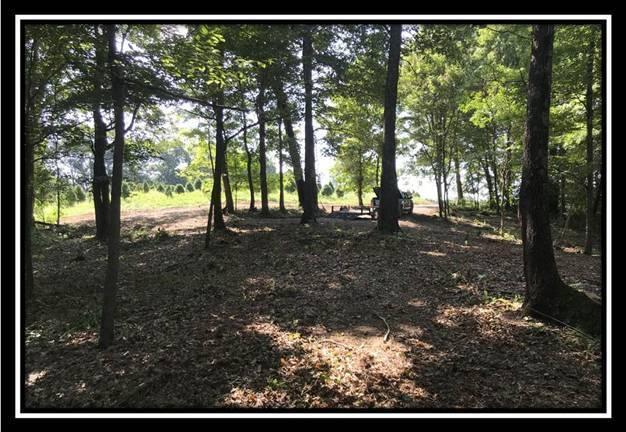 2895 Spencer Road Ray, OH 45672 - Photo 4 of 79