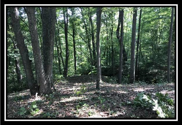 2895 Spencer Road Ray, OH 45672 - Photo 52 of 79