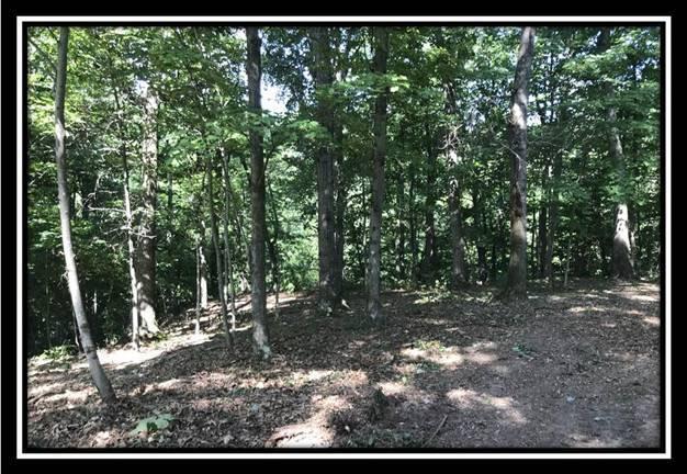 2895 Spencer Road Ray, OH 45672 - Photo 54 of 79
