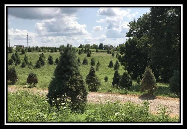 2895 Spencer Road Ray, OH 45672 - Photo 60 of 79