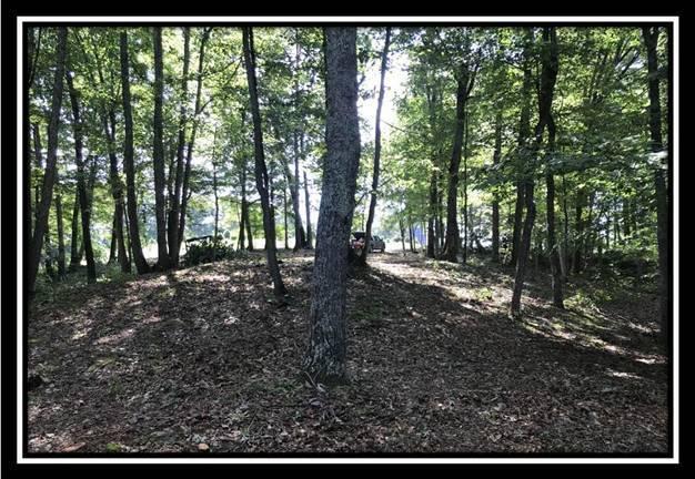 2895 Spencer Road Ray, OH 45672 - Photo 6 of 79