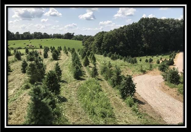 2895 Spencer Road Ray, OH 45672 - Photo 61 of 79