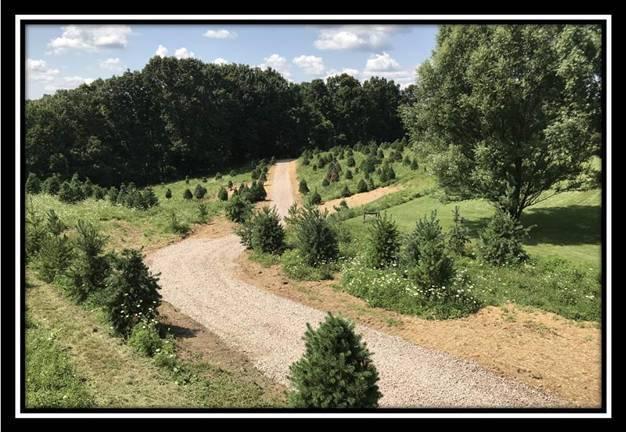 2895 Spencer Road Ray, OH 45672 - Photo 67 of 79