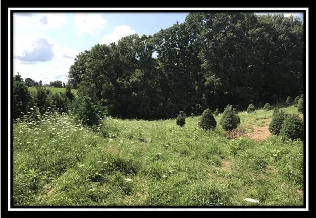 2895 Spencer Road Ray, OH 45672 - Photo 70 of 79