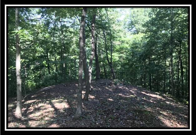 2895 Spencer Road Ray, OH 45672 - Photo 75 of 79