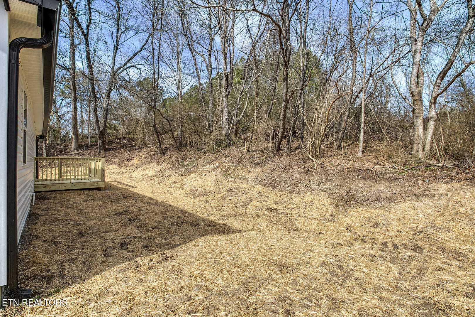 4835 Highway 30 Decatur, TN 37322 - Photo 29 of 29 29_StateHighway30W_4835_Backyard02