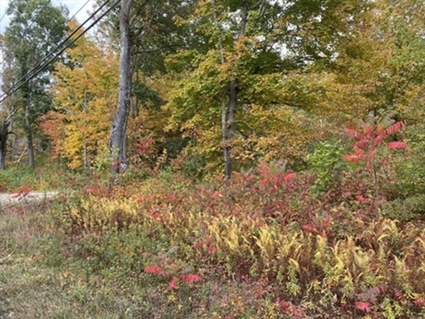 Lot 0 Main Road Granville, MA 01034 - Photo 3 of 8 Gallery Image 3