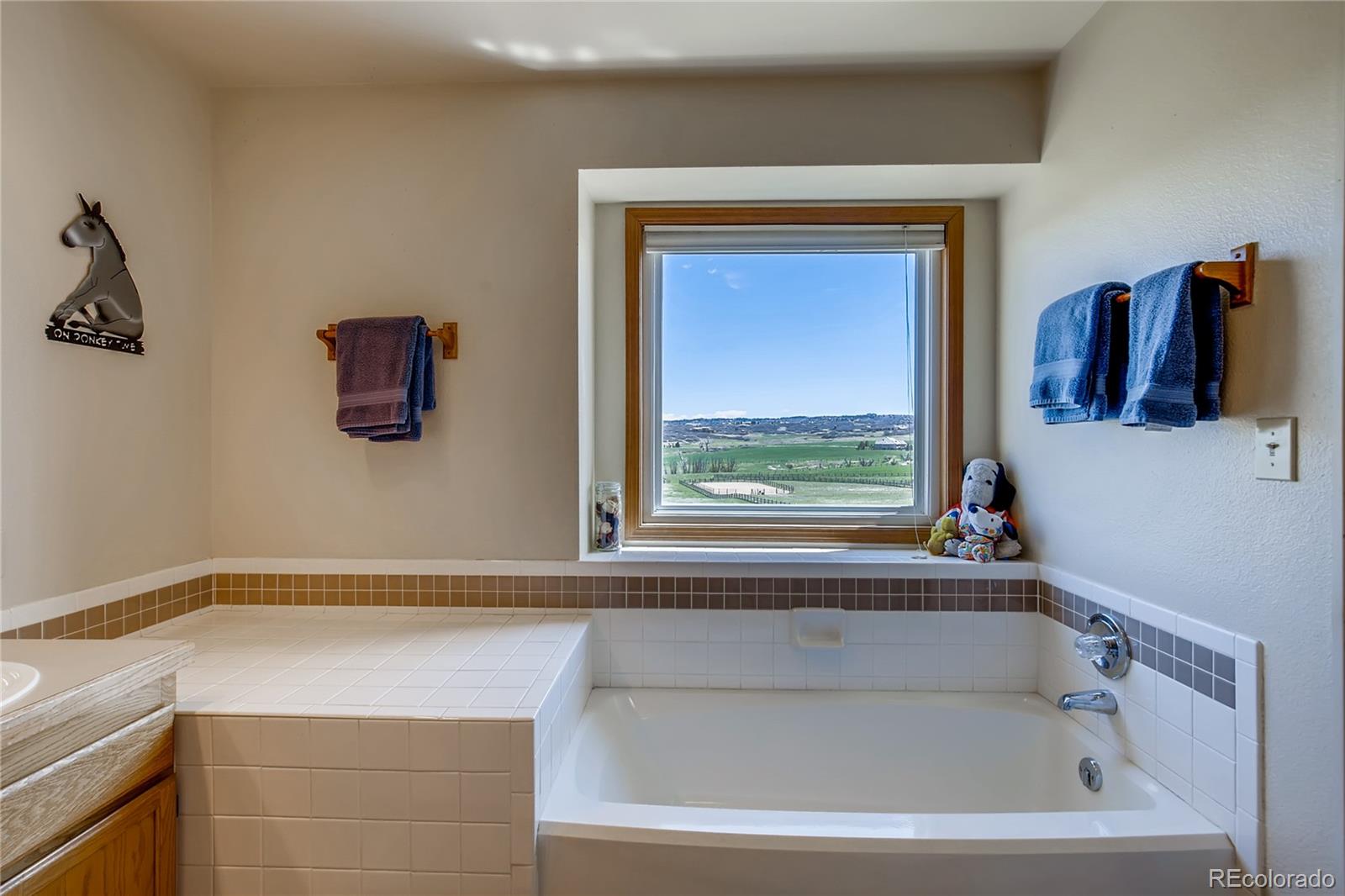 3292 Christy Ridge Road Sedalia, CO 80135 - Photo 16 of 30 Gallery Image 16