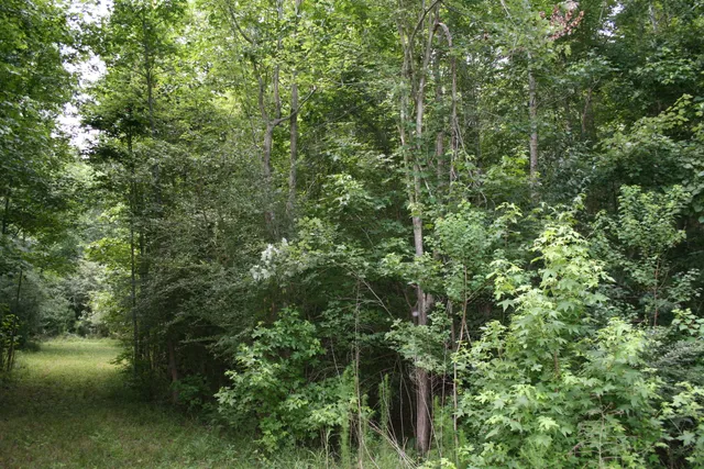 $75,000 | 0 Kitfield Road, Moncks Corner, SC 29461