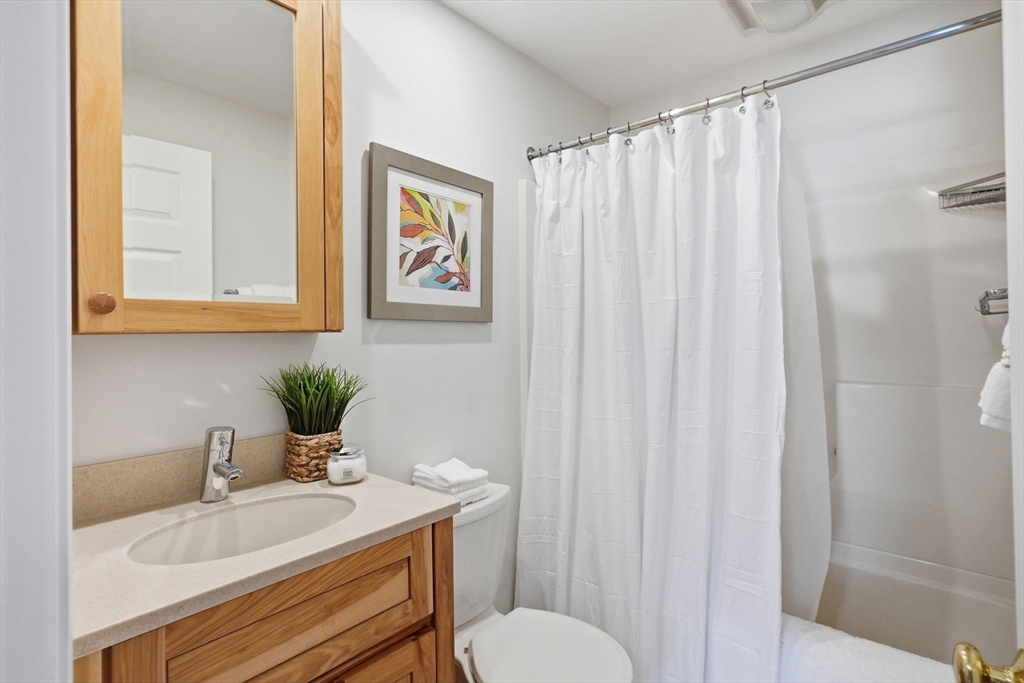 1032 Main Street, Unit 6 Millis, MA 02054 - Photo 24 of 42 a bathroom with a sink vanity mirror and toilet