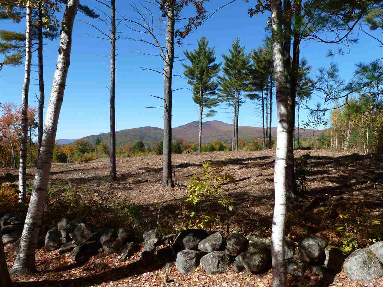 Lot 29 Durgin Road Center Tuftonboro, NH 03816 - Photo 11 of 20