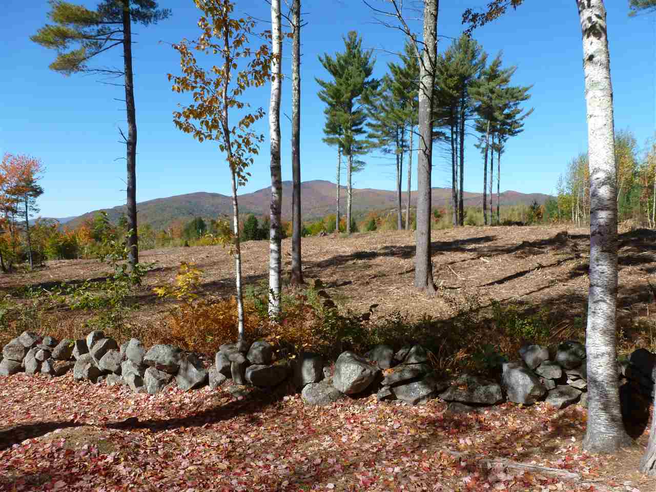 Lot 29 Durgin Road Center Tuftonboro, NH 03816 - Photo 12 of 20