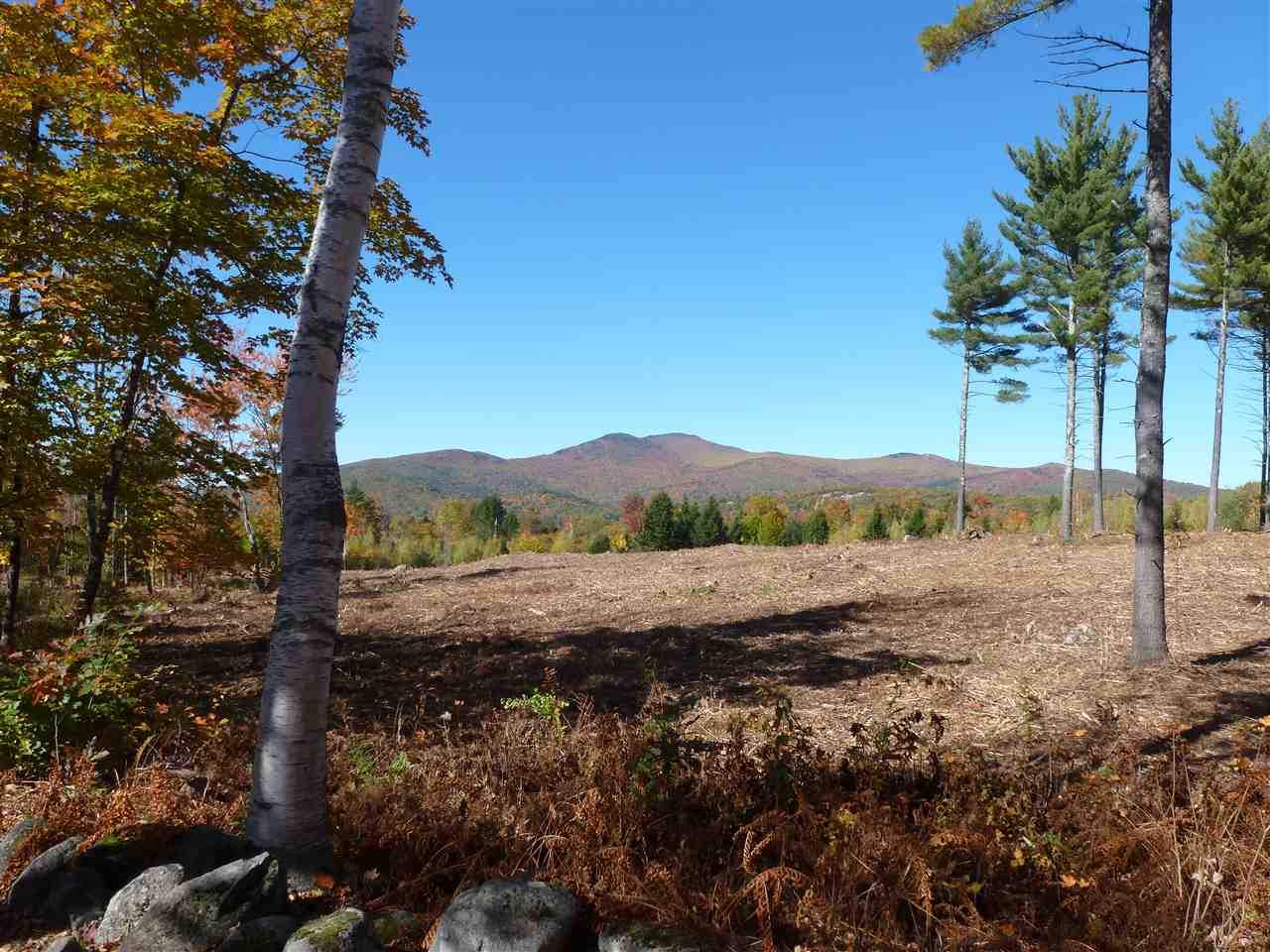 Lot 29 Durgin Road Center Tuftonboro, NH 03816 - Photo 13 of 20
