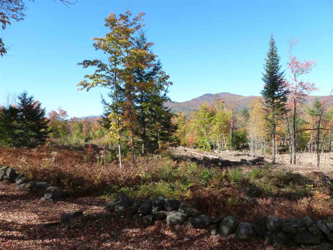 Lot 29 Durgin Road Center Tuftonboro, NH 03816 - Photo 15 of 20