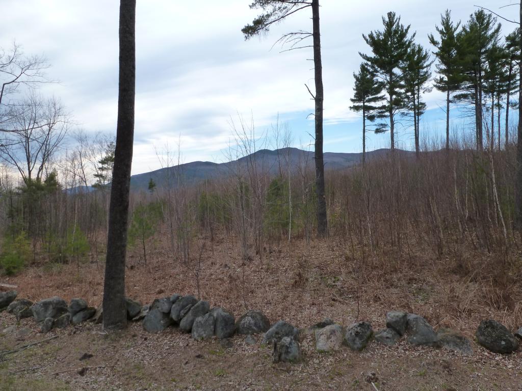 Lot 29 Durgin Road Center Tuftonboro, NH 03816 - Photo 16 of 20