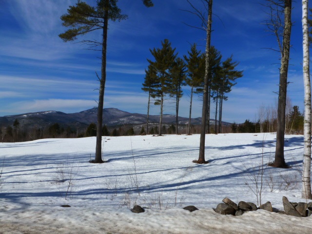 Lot 29 Durgin Road Center Tuftonboro, NH 03816 - Photo 18 of 20