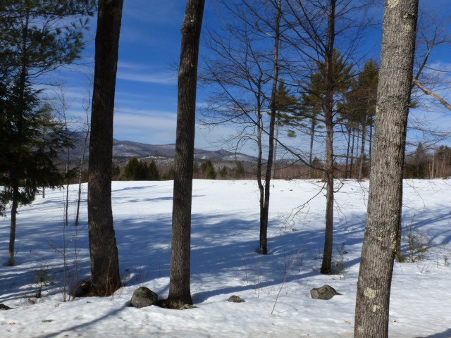 Lot 29 Durgin Road Center Tuftonboro, NH 03816 - Photo 19 of 20