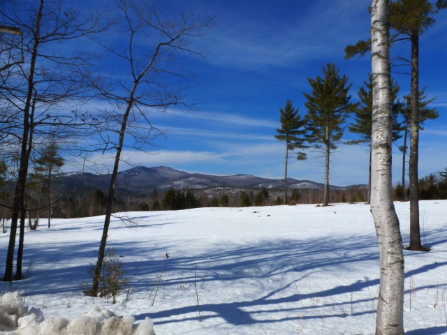 Lot 29 Durgin Road Center Tuftonboro, NH 03816 - Photo 20 of 20