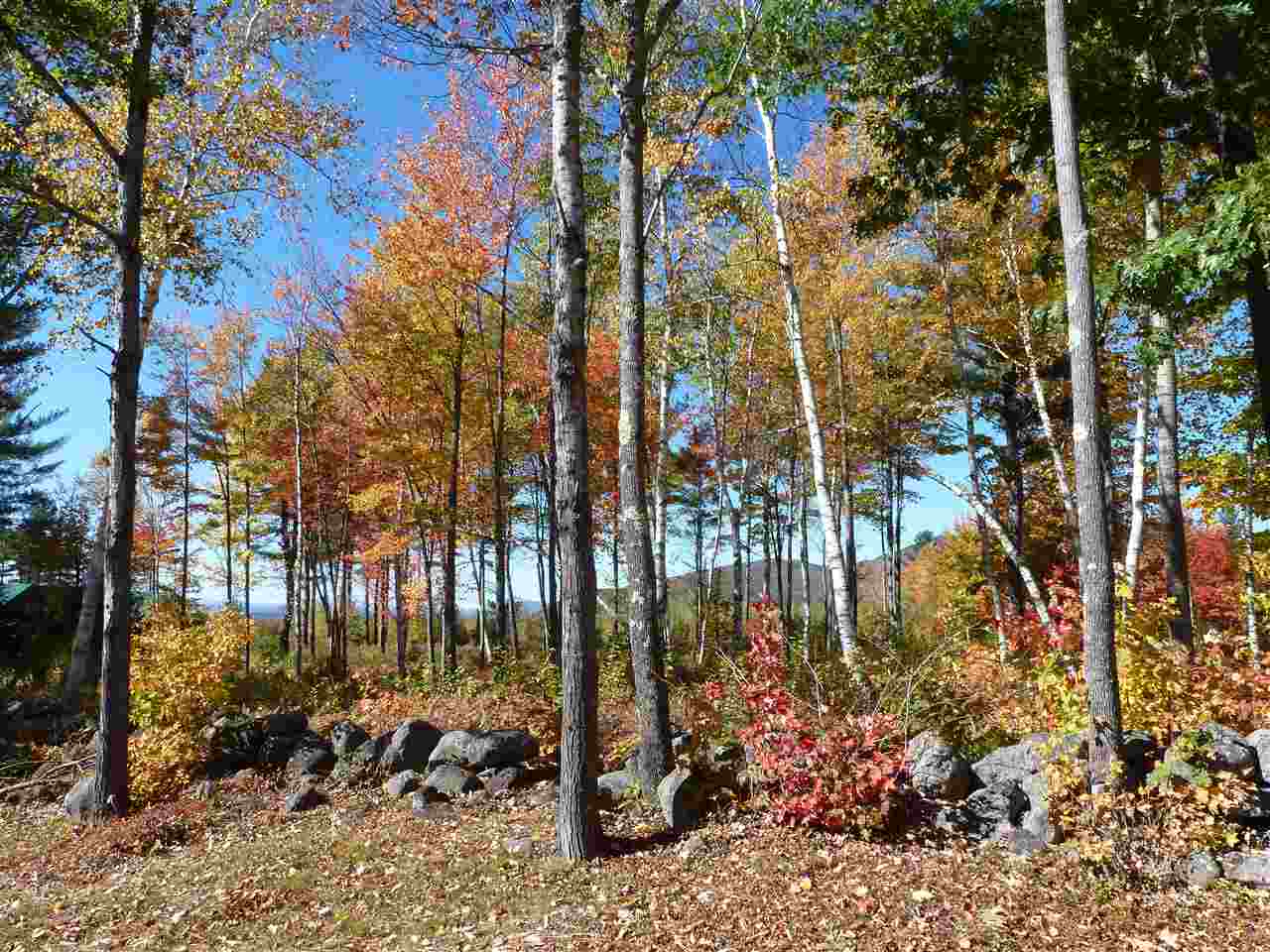 Lot 29 Durgin Road Center Tuftonboro, NH 03816 - Photo 7 of 20