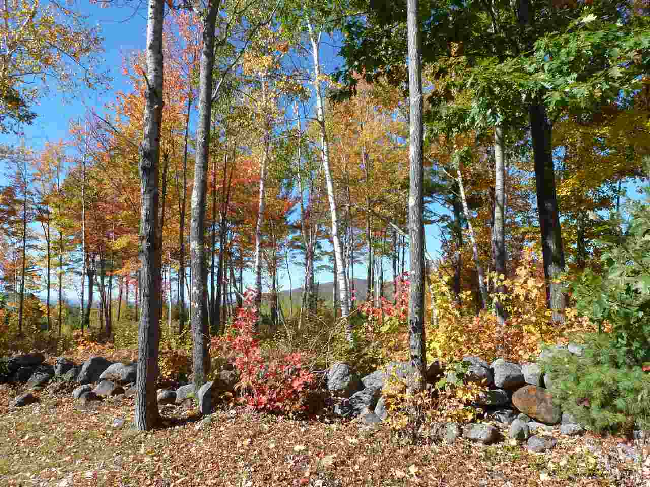 Lot 29 Durgin Road Center Tuftonboro, NH 03816 - Photo 8 of 20
