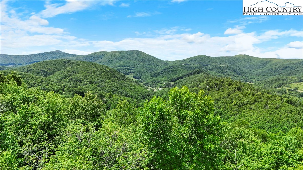 T-1 Grace Mountain Road Todd, NC 28684 - Photo 27 of 28 a view of a city with lush green forest