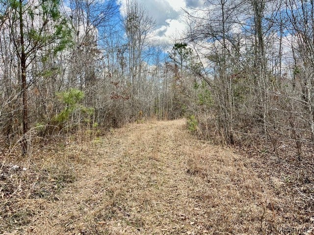 1530 Union Road Eclectic, AL 36024 - Photo 6 of 22 Gallery Image 6