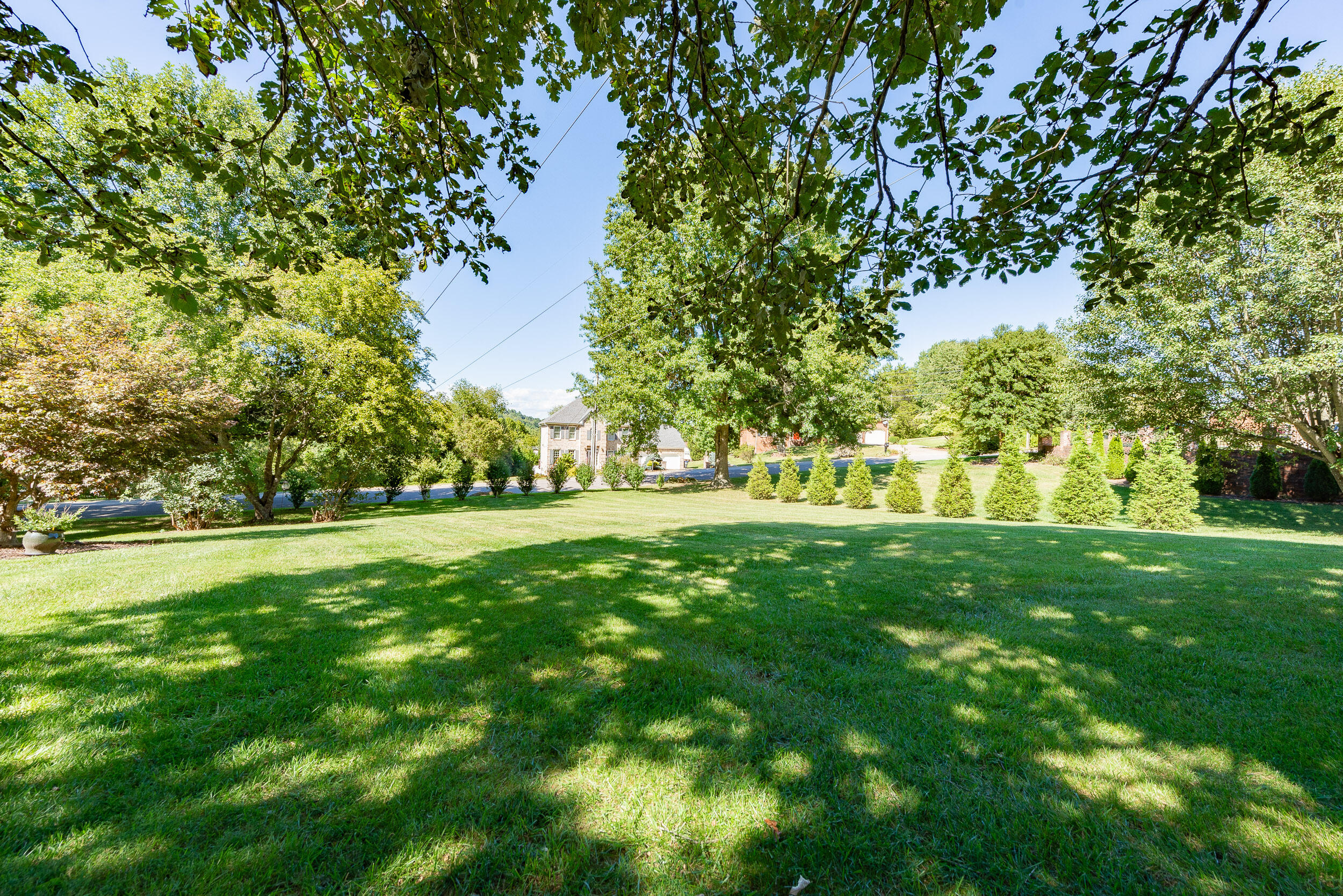 101 Partridge Place Kingsport, TN 37663 - Photo 11 of 50 Backyard