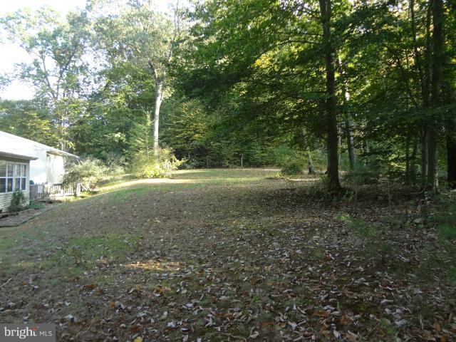 143 East Red Hill Road Conowingo, MD 21918 - Photo 17 of 23 Back Yard