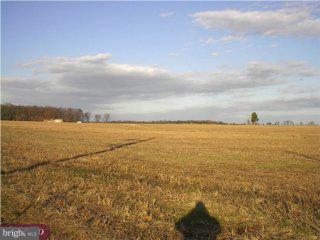 Lot 6.0 Cobbs Mill Road Bridgeton, NJ 08302 - Photo 1 of 2 Gallery Image 1