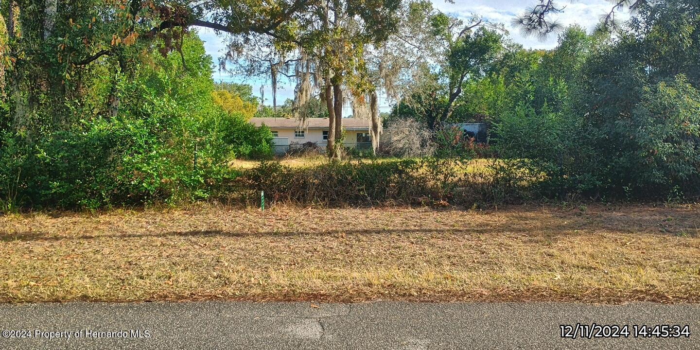 0 Arrowhead Avenue Spring Hill, FL 34606 - Photo 1 of 3