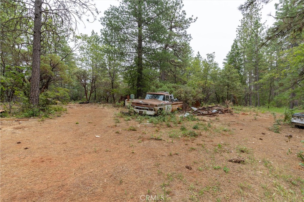 15184 Siwini Road Forest Ranch, CA 95942 - Photo 38 of 75