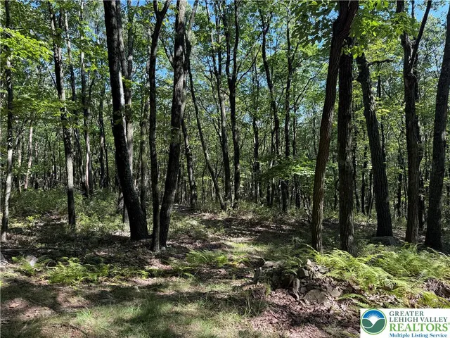a view of backyard with green space