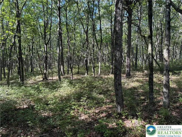 a view of outdoor space and trees