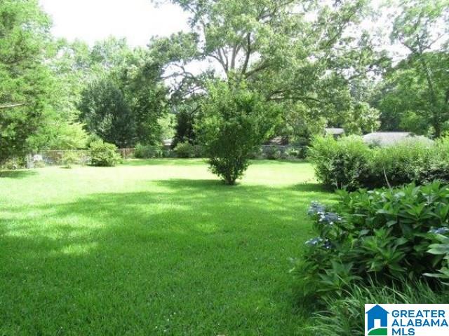 324 Rock Mills Road Roanoke, AL 36274 - Photo 12 of 17