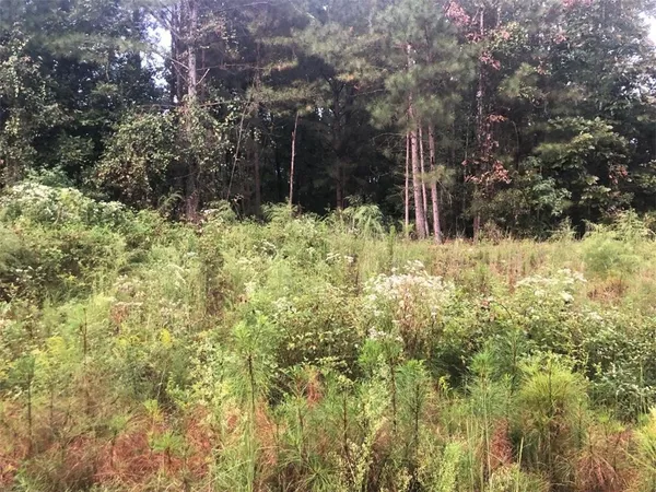 $29,900 | 203 Wilson Creek Drive, Iva, SC 29655
