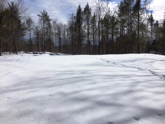 8 Old Temple Road Lyndeborough, NH 03082 - Photo 4 of 9